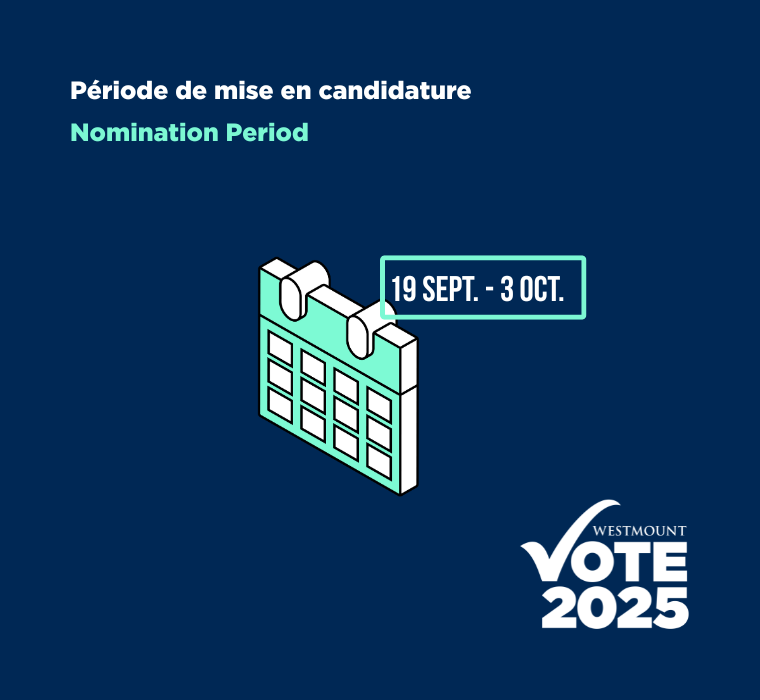 Visuel 2025 pour les élections