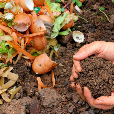 Compost