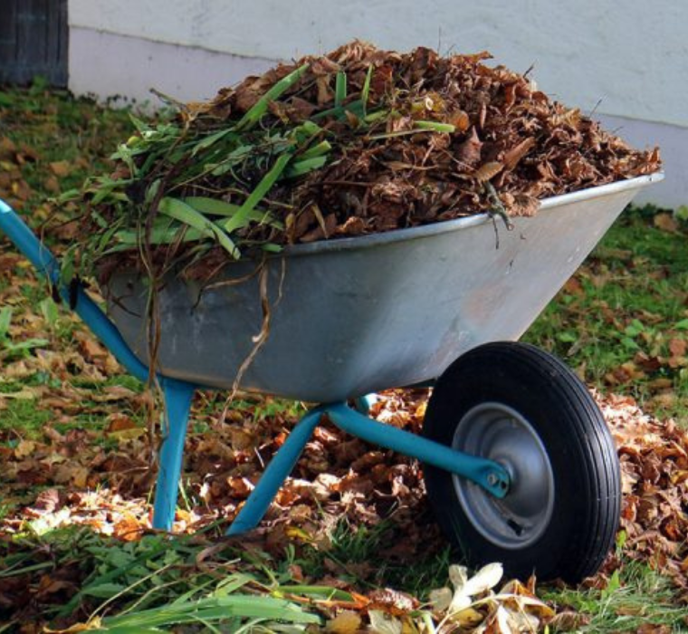 Brouette avec des résidus de jardin