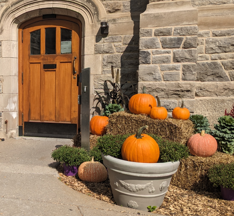 Pumpkins in front of City Hall