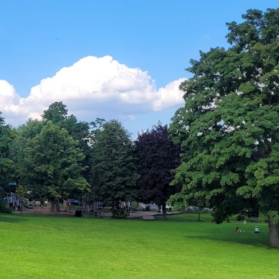 View of King George Park in the summertime