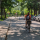 A biker on the bike path