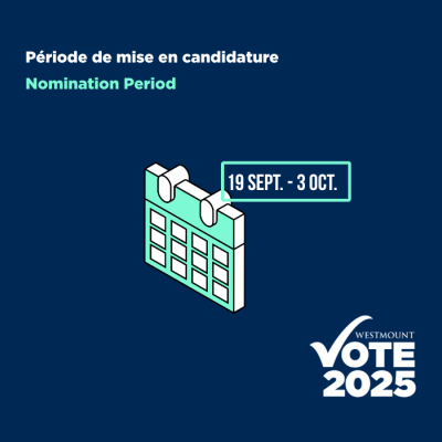 Elections 2025 visual
