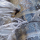 A leaking water pipe