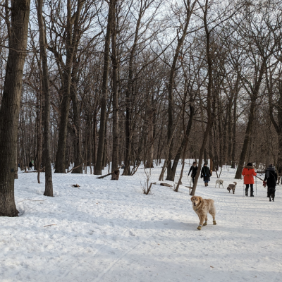 le bois summit en hiver