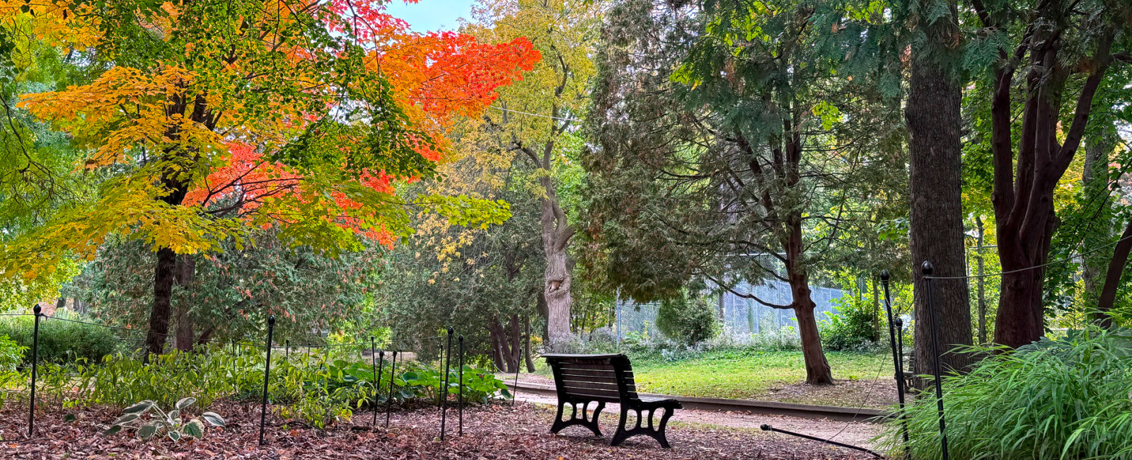 Un banc dans le parc Westmount à l'automne