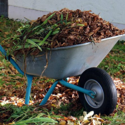 Une brouette pleine de résidus de jardin