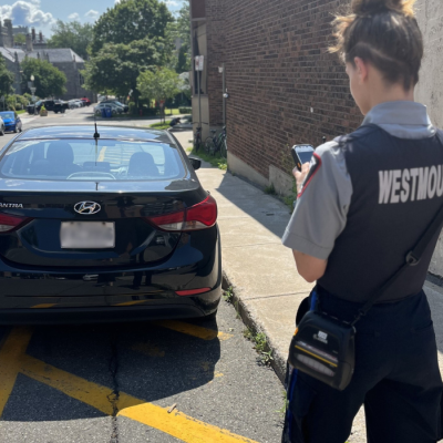 Un agent de la sécurité publique observe un véhicule stationné