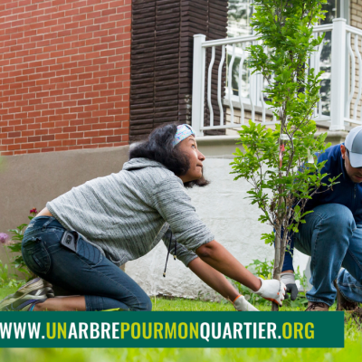 Un couple plante un arbre dans leur cour