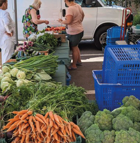 Complètement Légume farm stand