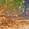 A man is blowing leafs