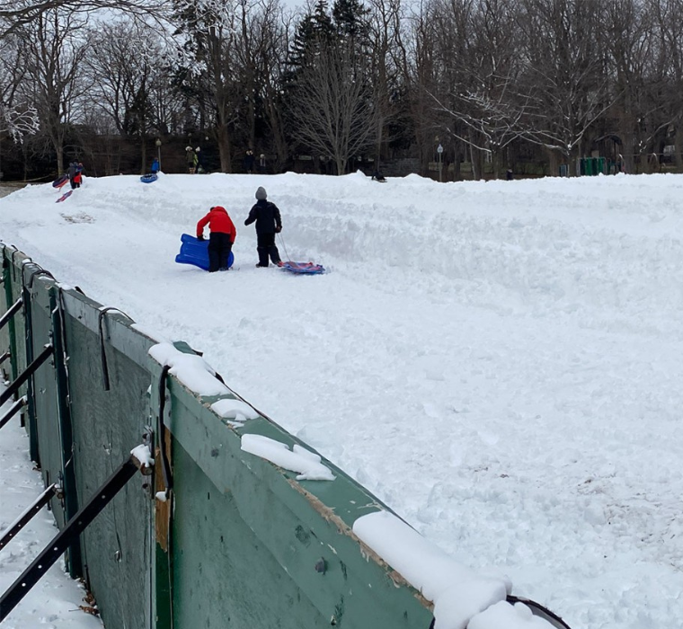 Piste de luge au parc King George