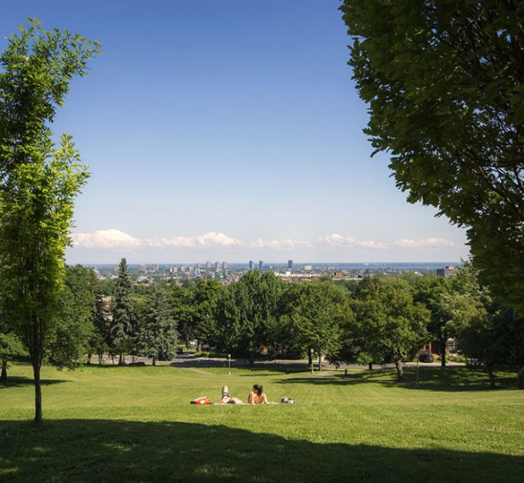 View form King George Park