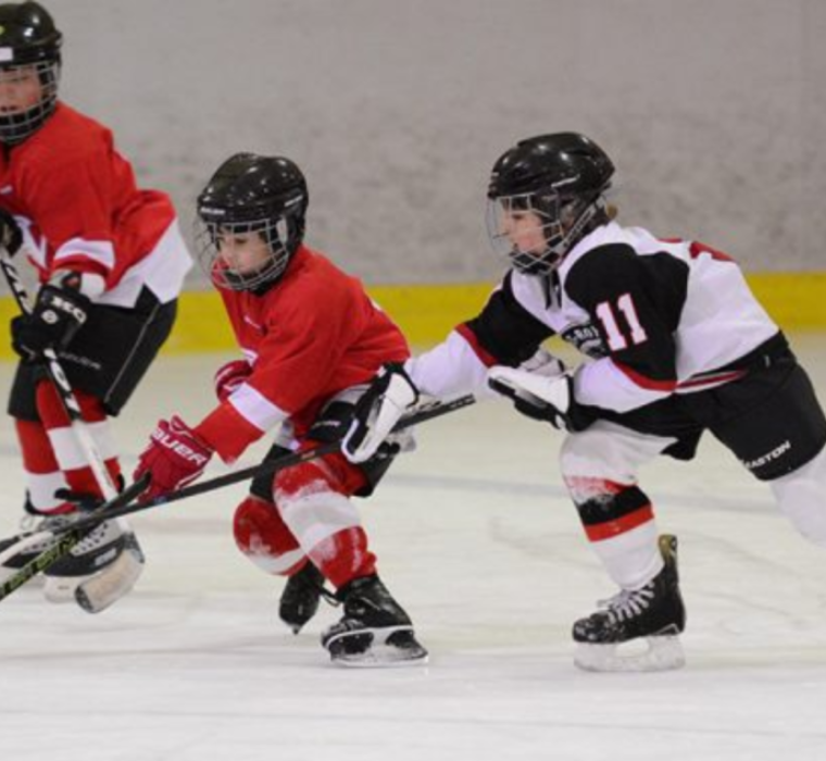Children playing hockey