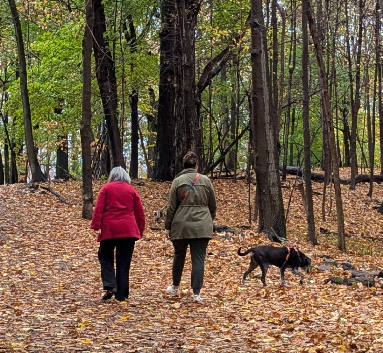 Two women walk with a dog off-leash at Summit Woods