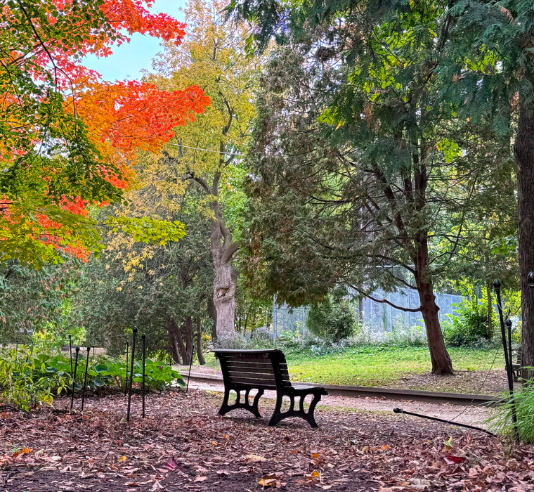 Banc dans le parc Westmount
