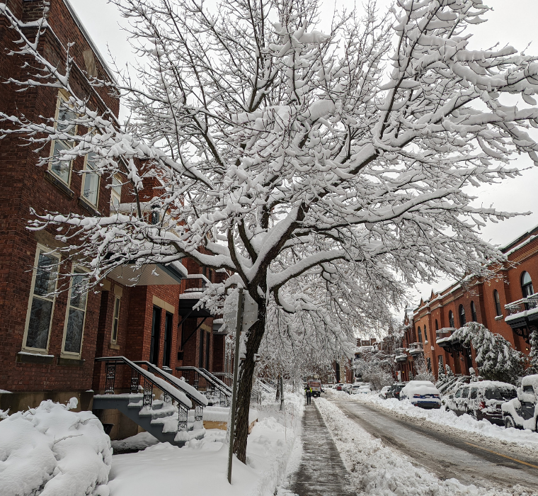 Snow on the street in Westmount