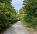 A path at Summit Woods